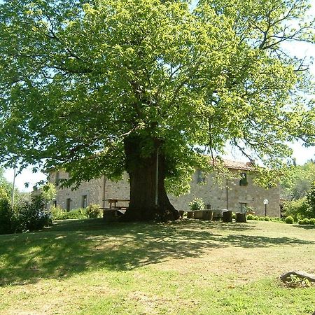 Antico Casale Pozzuolo Villa Seggiano Exteriör bild