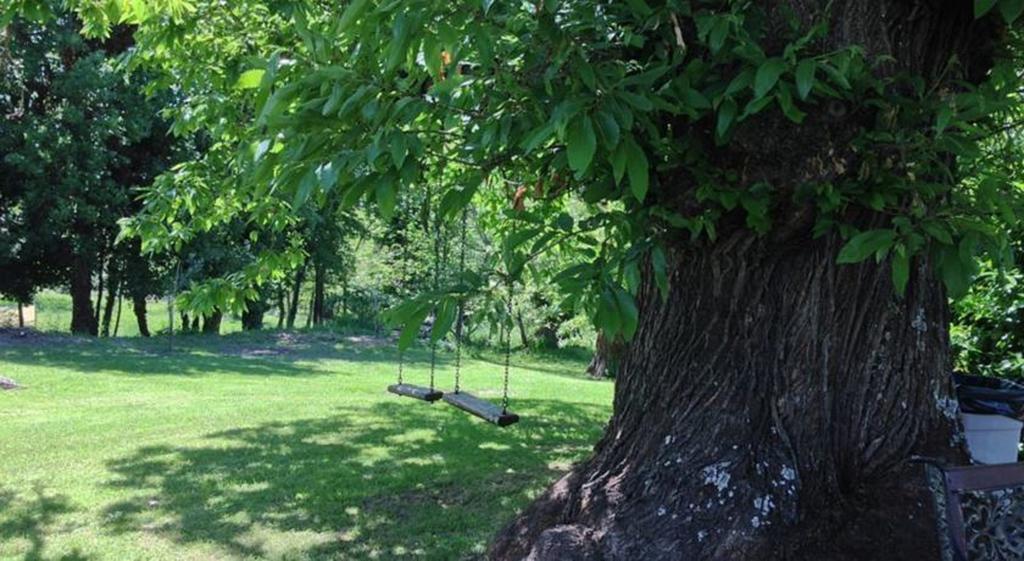 Antico Casale Pozzuolo Villa Seggiano Exteriör bild