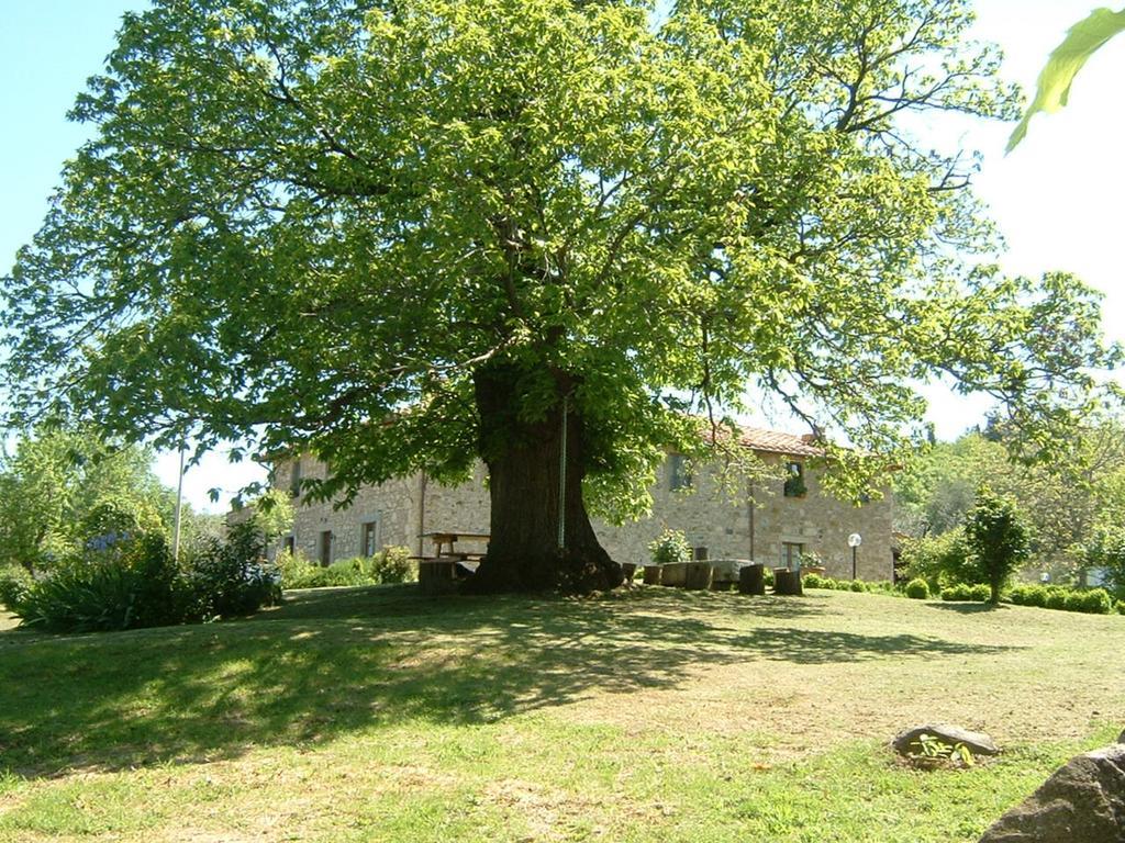 Antico Casale Pozzuolo Villa Seggiano Exteriör bild