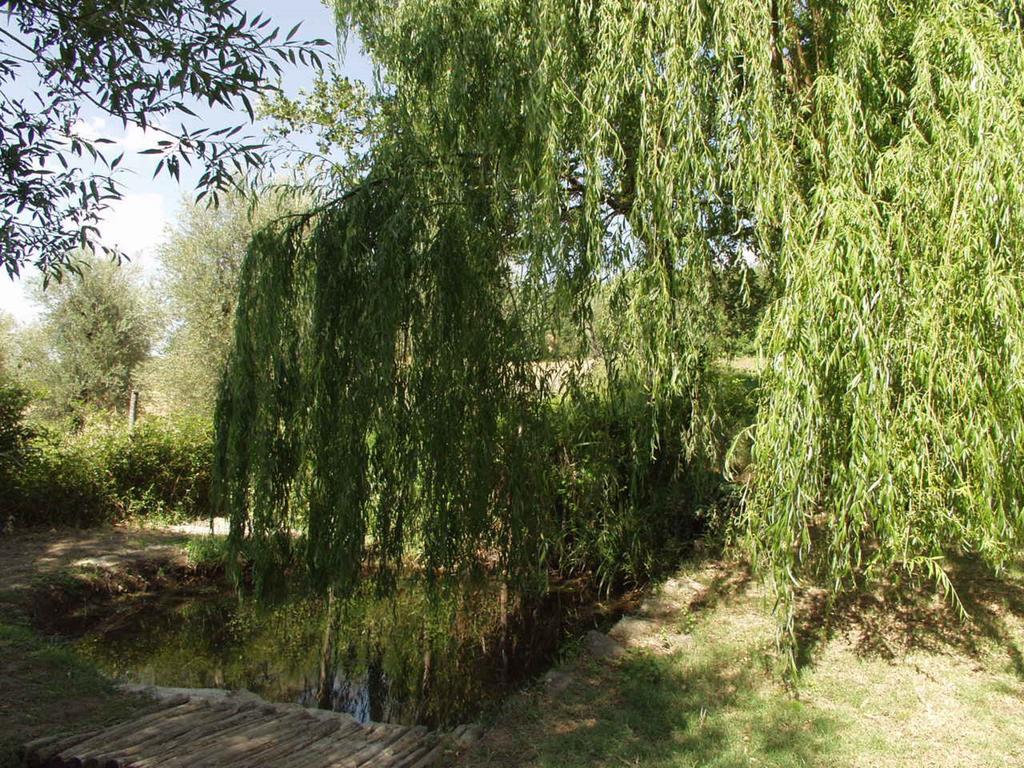 Antico Casale Pozzuolo Villa Seggiano Exteriör bild